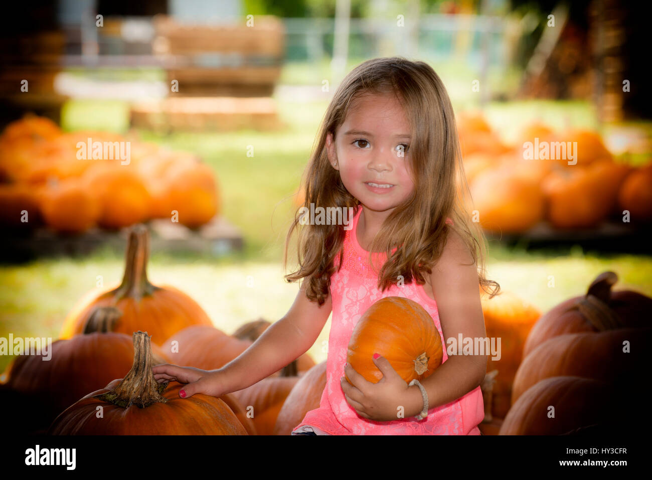 Jeune fille et garçon par pumpkin farm holding pumpkin Banque D'Images