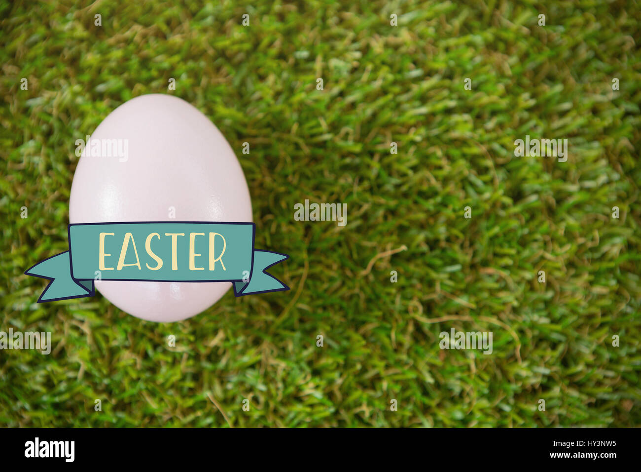 TE252___trames hndr pâques mix__2 contre l'oeuf de pâques blanc sur l'herbe Banque D'Images