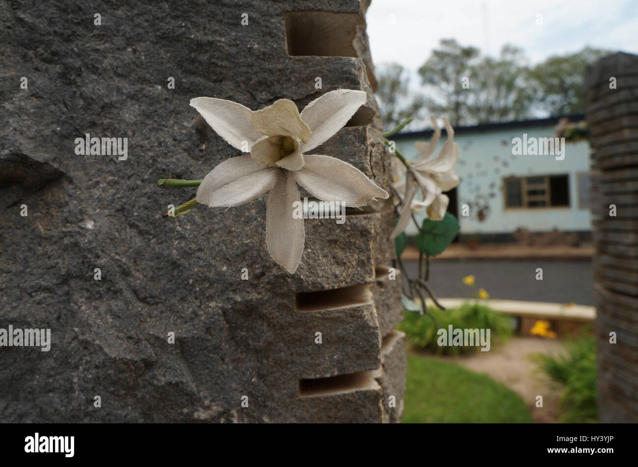 Une fleur dans une colonne commémorant l'assassinat de dix soldats belges dans le bâtiment derrière au Camp Kigali Memorial. Kigali, Rwanda Banque D'Images