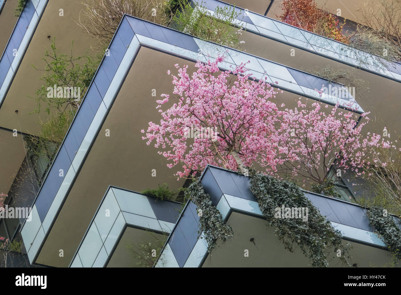 Eco Construction moderne au printemps avec les cerisiers Rose Banque D'Images