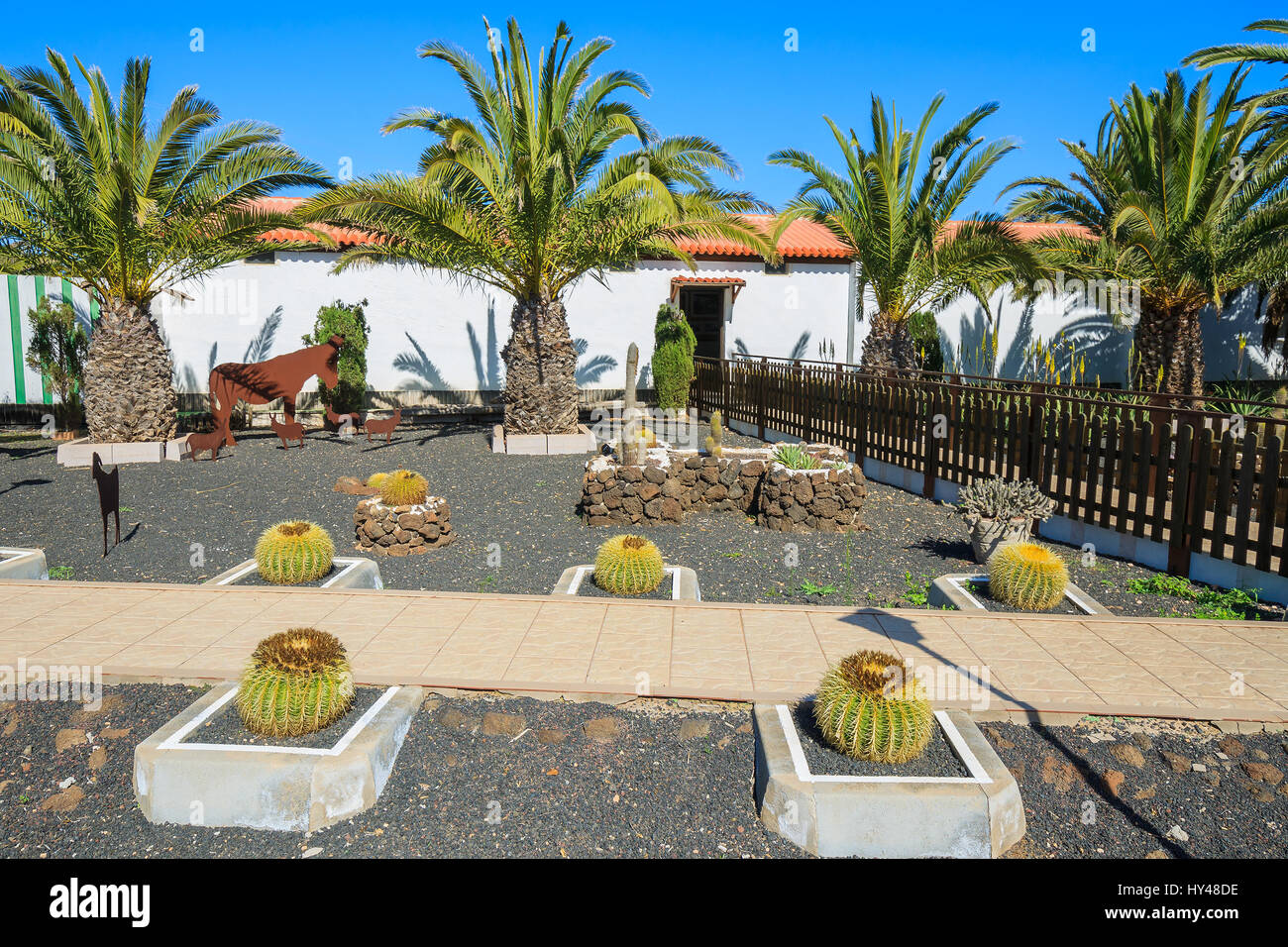 Bâtiments style canarien et de plantes tropicales dans la Oliva Centre d'Art du patrimoine du village, Fuerteventura, Îles Canaries, Espagne Banque D'Images