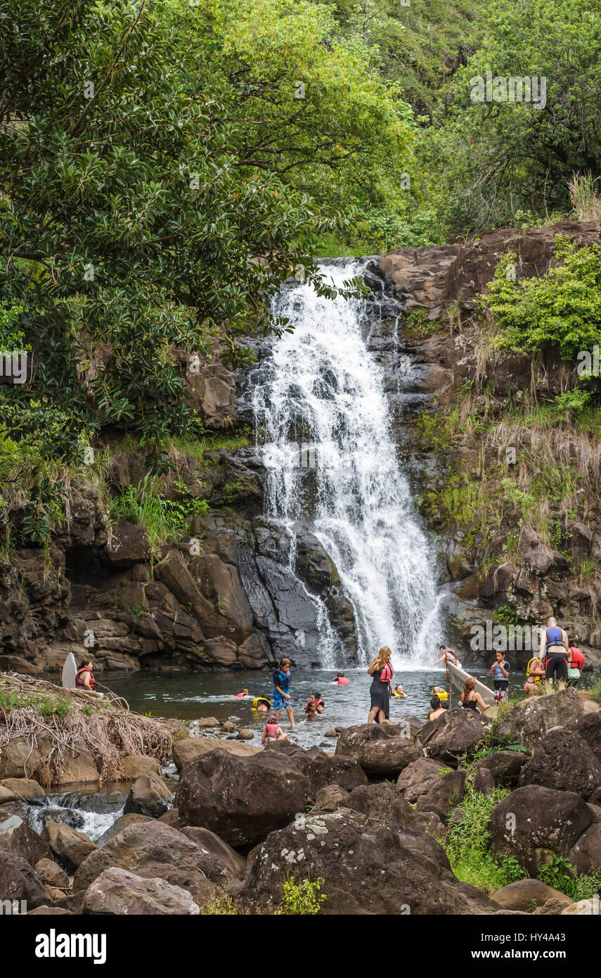 Waimea falls dans la région de Waimea Valley sur la côte nord d'Oahu, Hawaii Banque D'Images