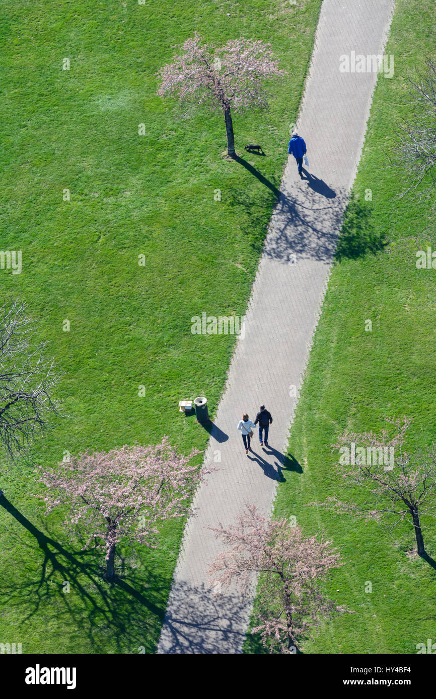 Voie cyclable au pré, arbres en fleurs, les gens à pied marche, Wien, Vienne, 22. Donaustadt, Wien, Autriche Banque D'Images
