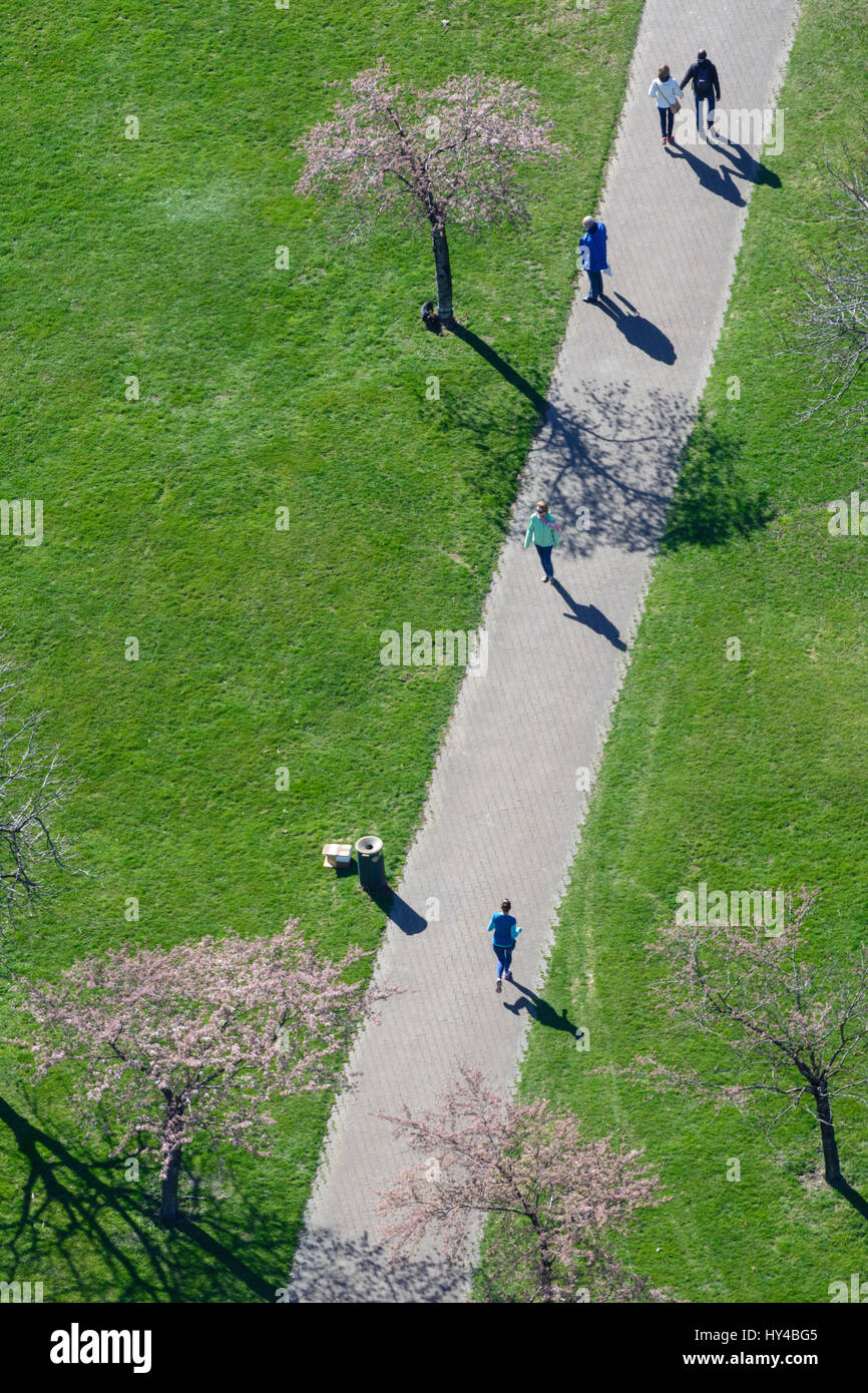 Voie cyclable au pré, arbres en fleurs, les gens à pied, jogging Marche Wien, Vienne, 22. Donaustadt, Wien, Autriche Banque D'Images