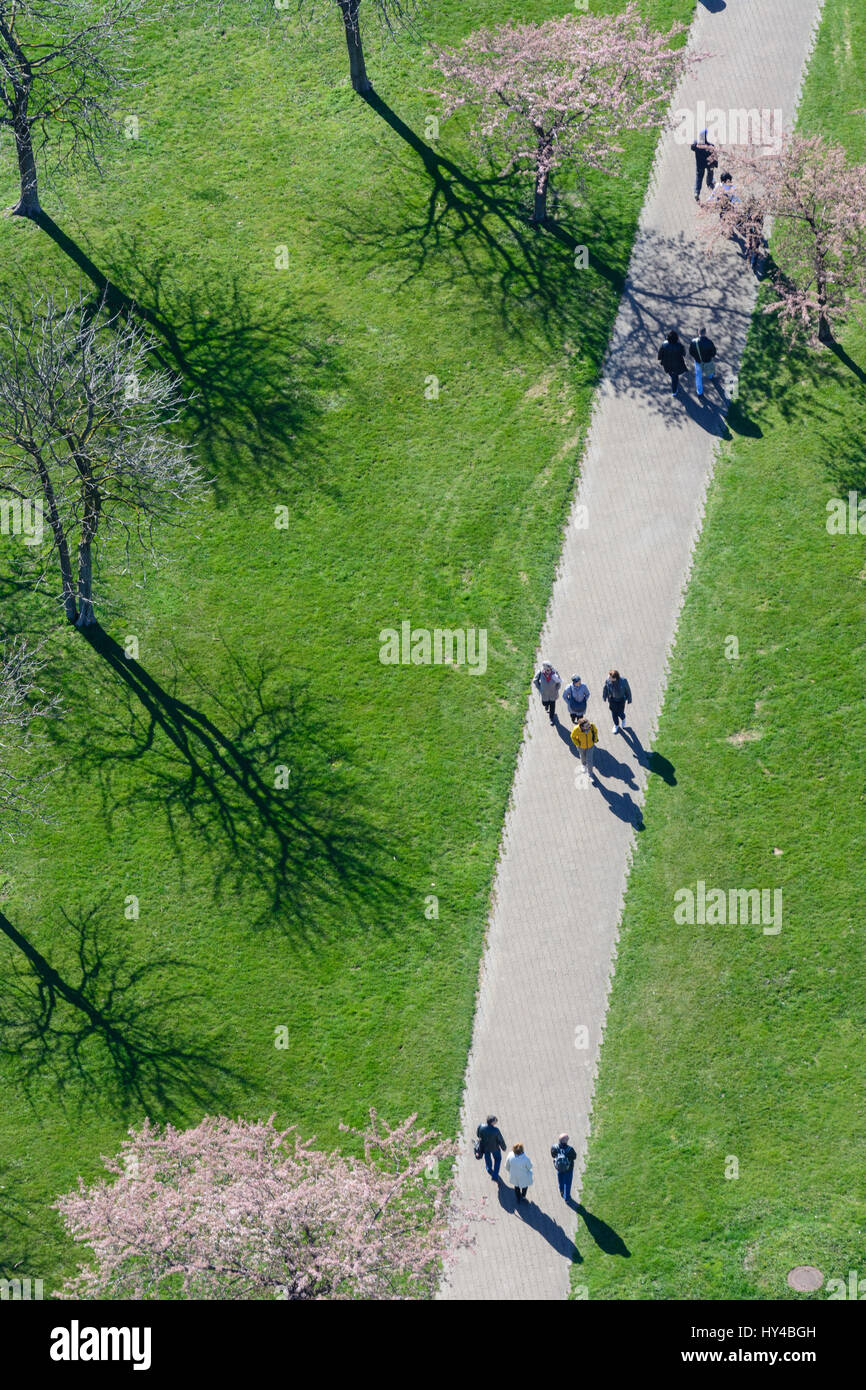 Voie cyclable au pré, arbres en fleurs, les gens à pied marche, Wien, Vienne, 22. Donaustadt, Wien, Autriche Banque D'Images