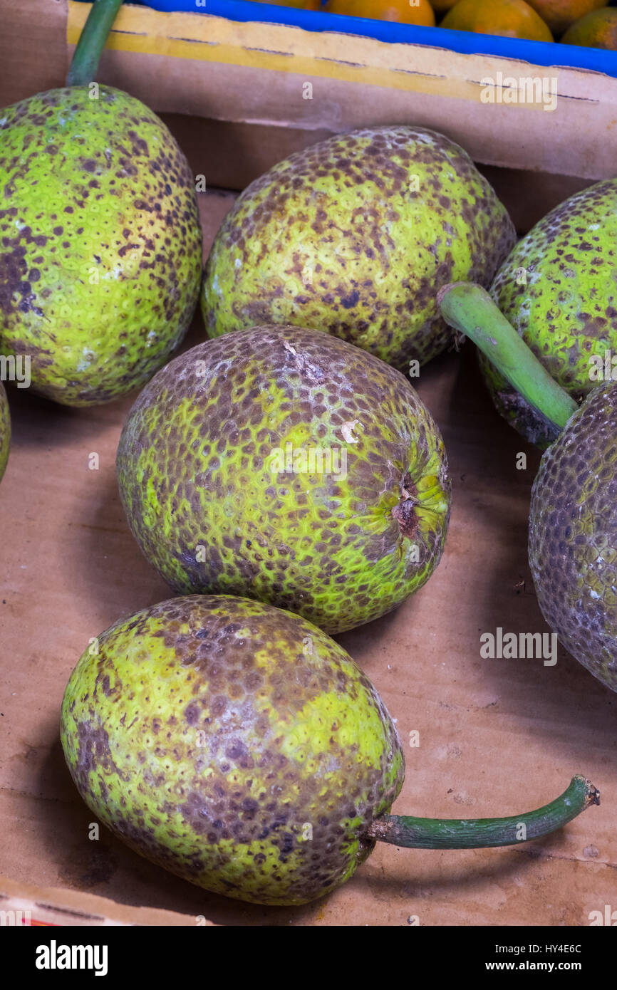 Vert Tropical fruit à la California farmers market sur la côte nord d'Oahu. Banque D'Images