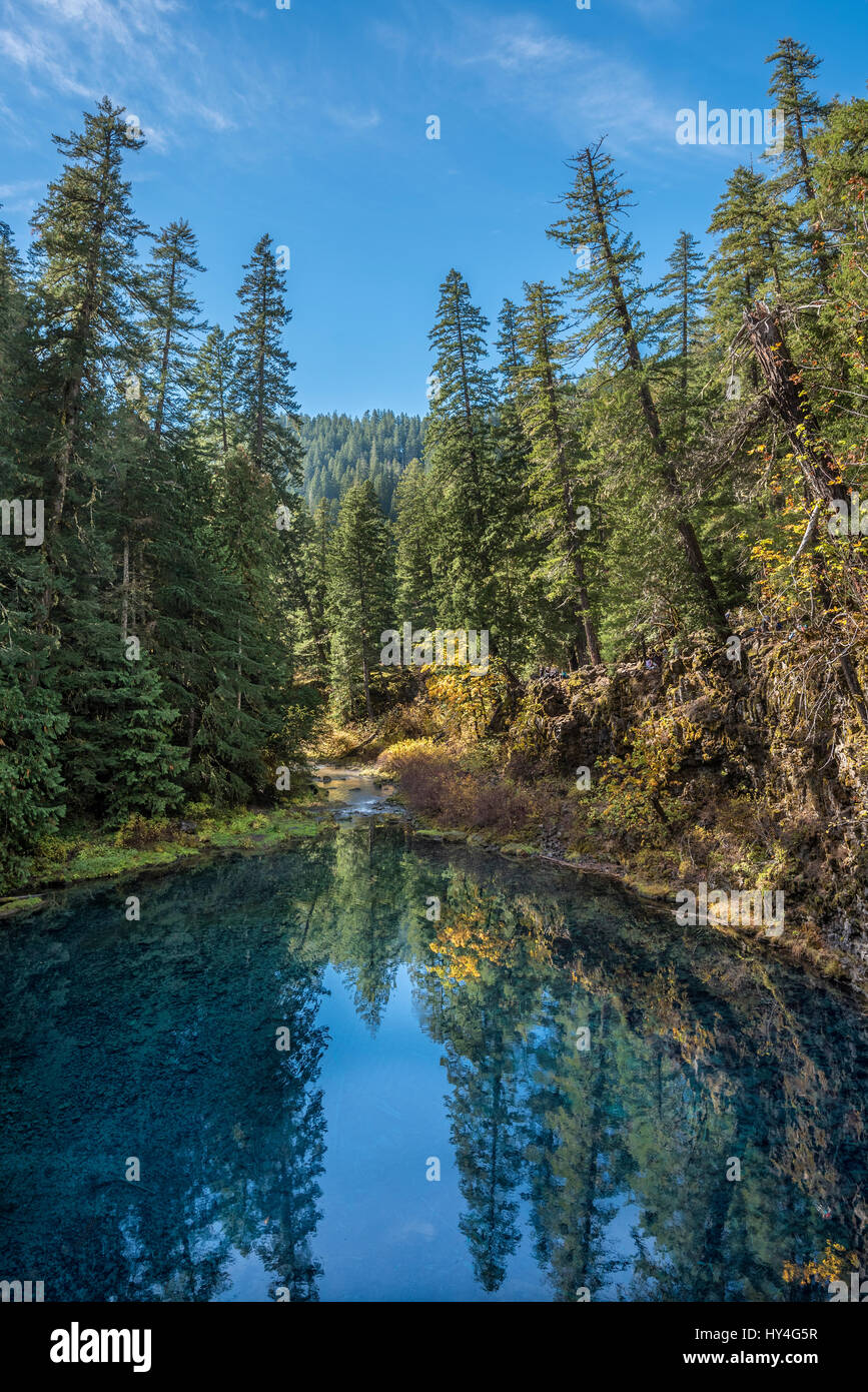 Tamolitch piscine bleu sur la rivière McKenzie, forêt nationale de Willamette, Oregon. Banque D'Images