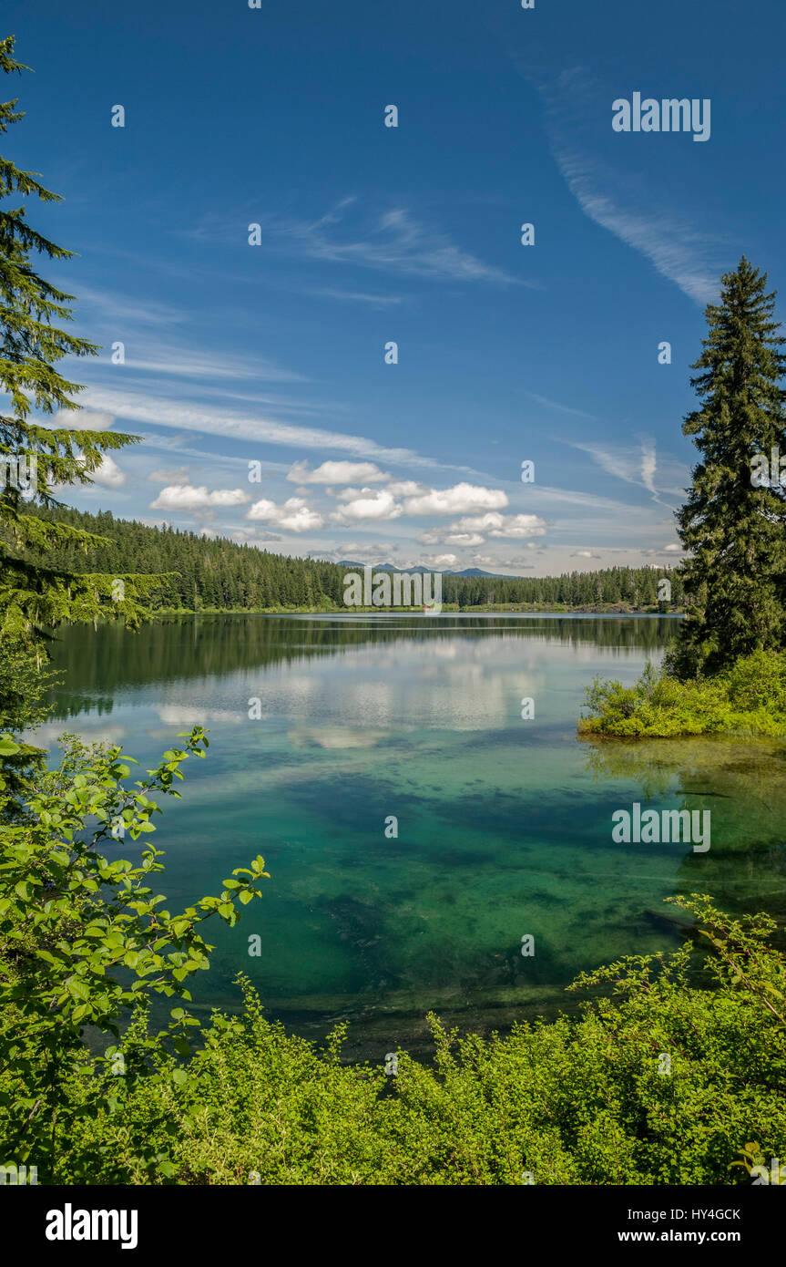 Lac Clair, forêt nationale de Willamette, des cascades, de l'Oregon. Banque D'Images