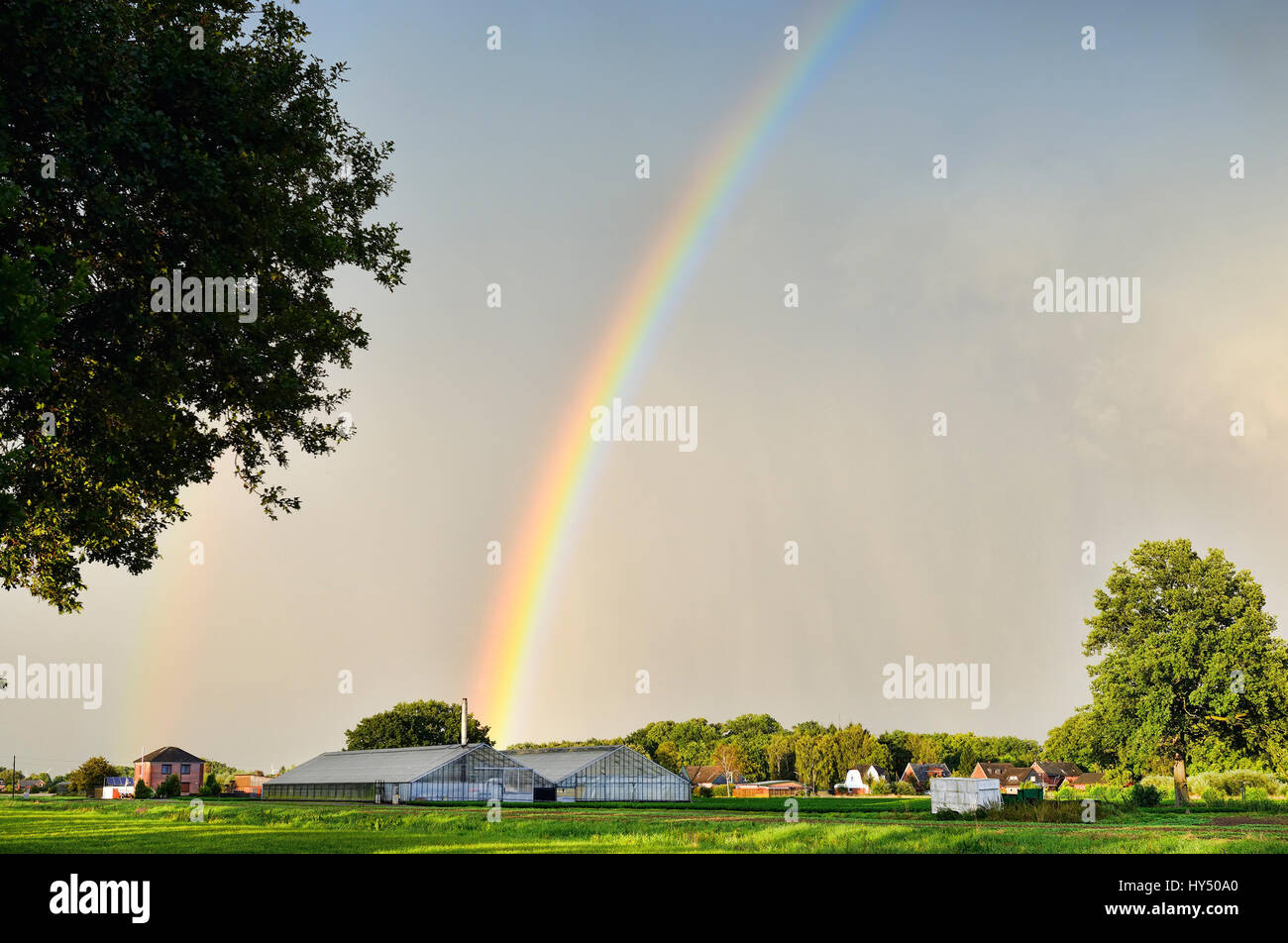 Les arcs-en-ciel en Kirchwerder, Hambourg, Allemagne, Europe, Regenbogen dans Kirchwerder, Deutschland, Europa Banque D'Images