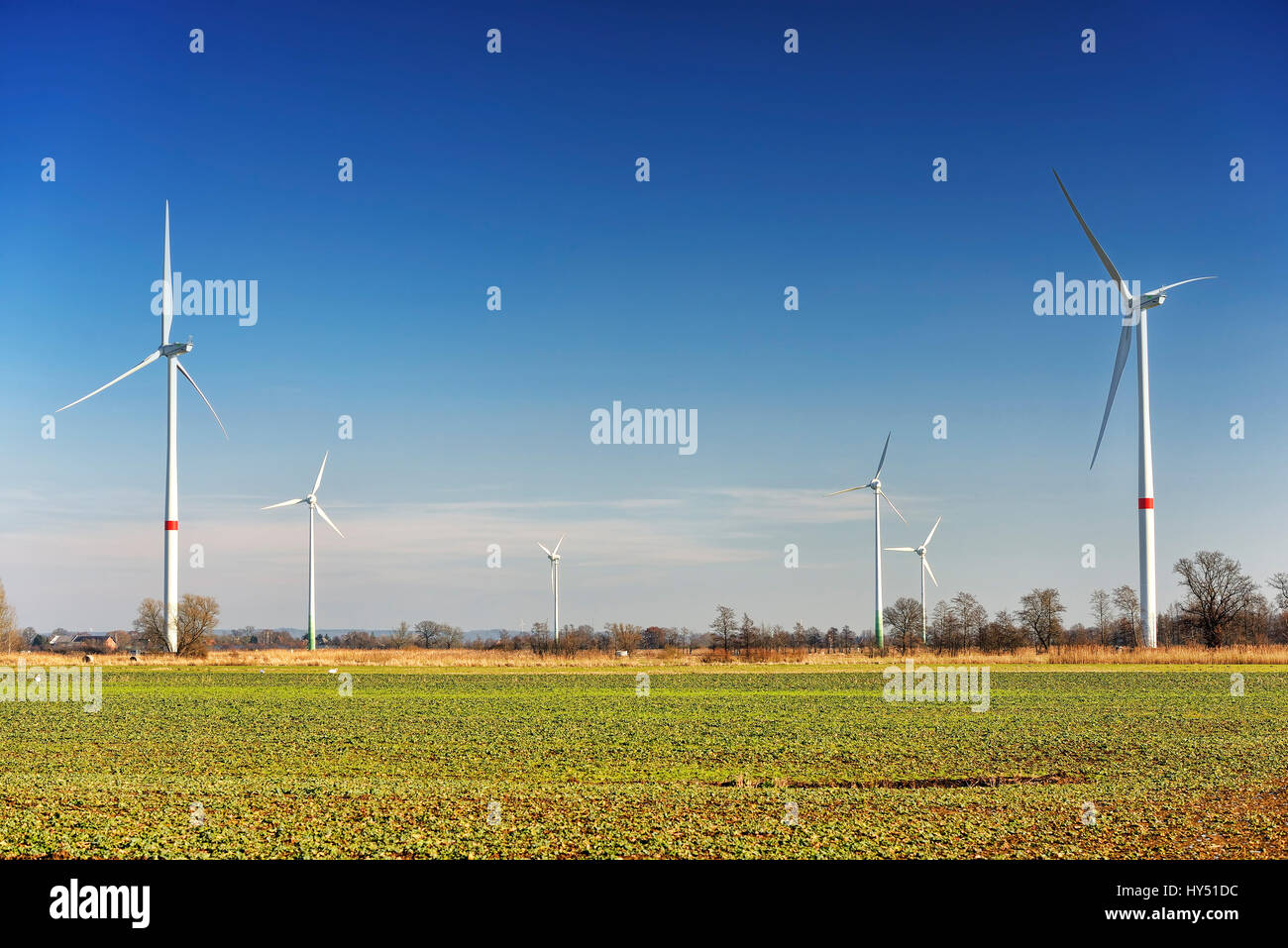 Les éoliennes de taille différente dans le parc éolien de nouveau, 4 infirmière étroite et des terres marécageuses, Hambourg, Allemagne, Europe, Windraeder unterschiedlicher Groe ?e im Banque D'Images