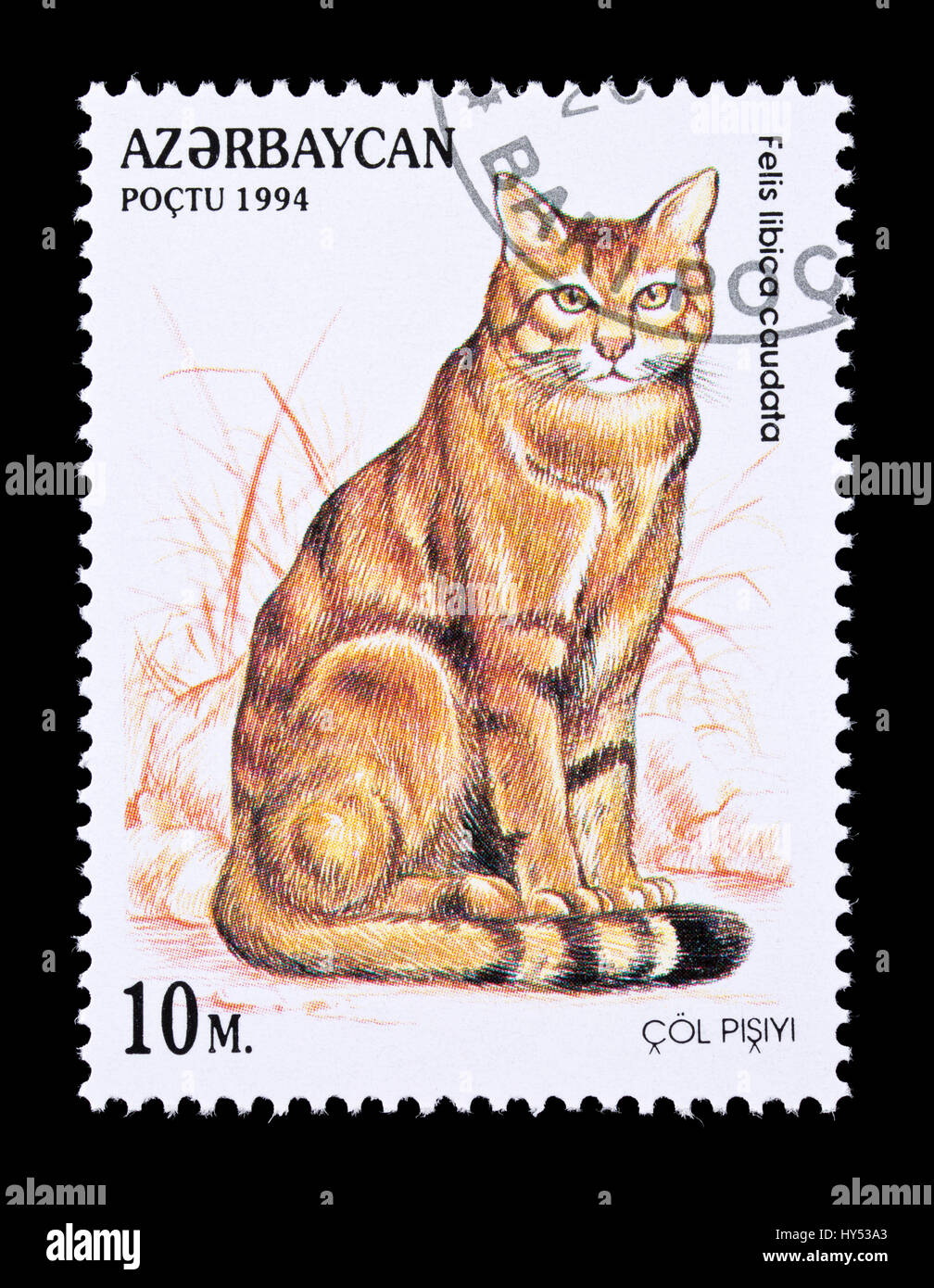 Timbre-poste de l'Azerbaïdjan représentant un chat sauvage africain (Felis silvestris lybica), Banque D'Images