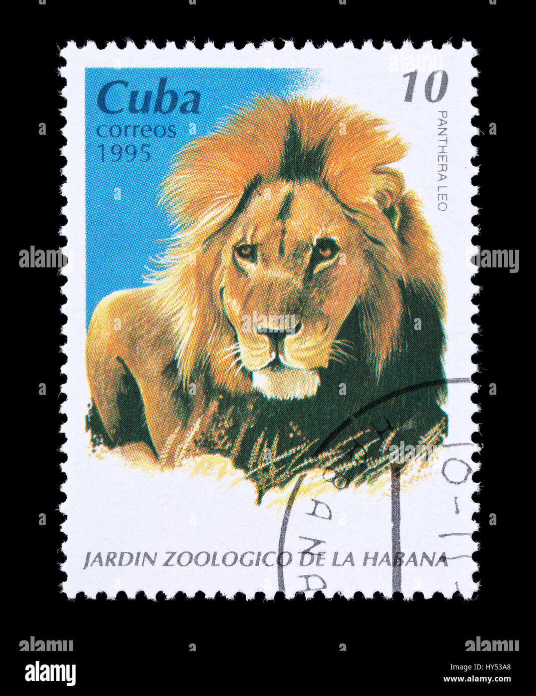Timbre-poste de Cuba représentant un lion mâle, émis pour le Zoo de La Havane. Banque D'Images