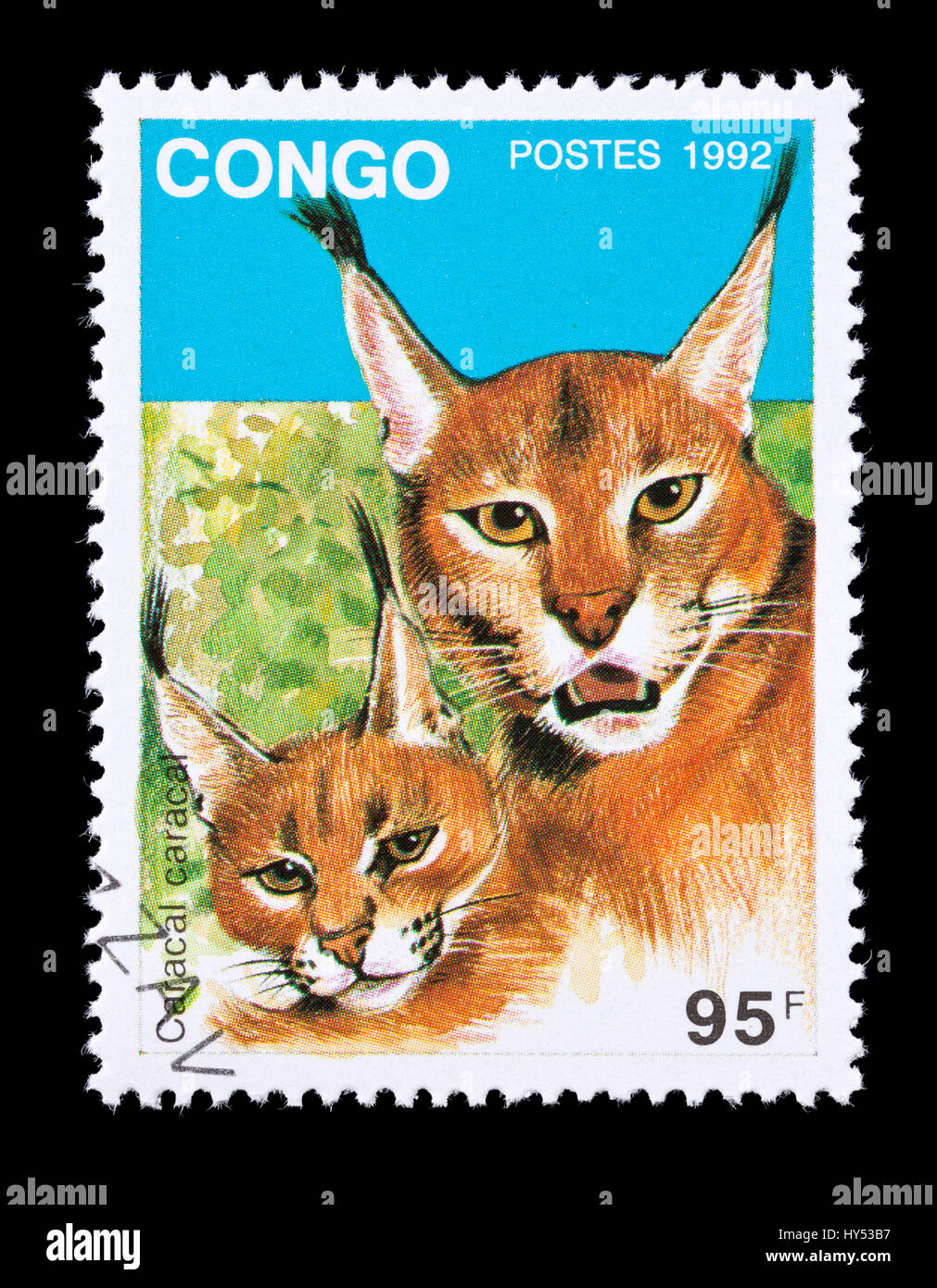 Timbre-poste du Congo représentant un caracal (Caracal caracal) Banque D'Images