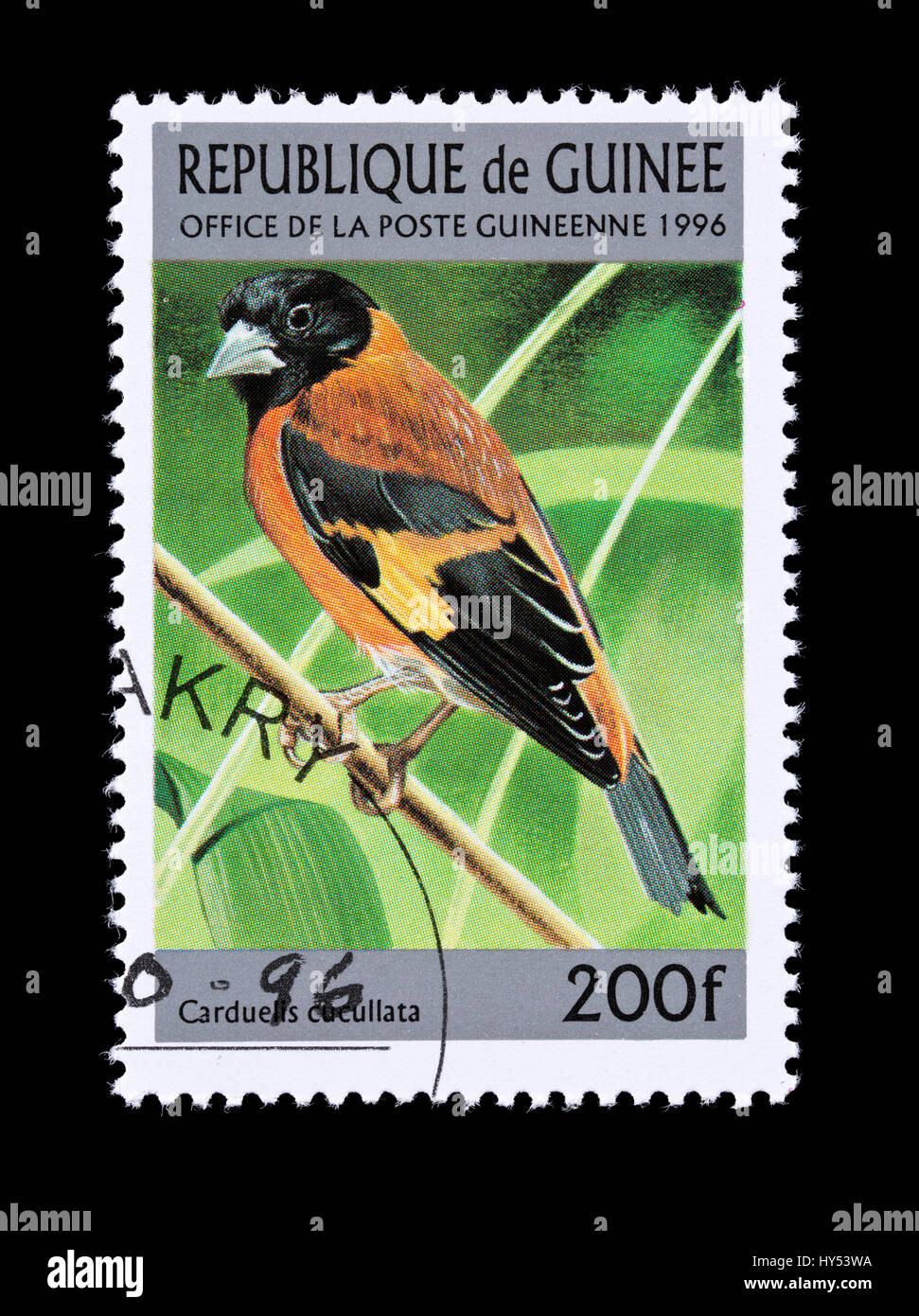 Timbre-poste à partir de la Guinée représentant rouge commune de Symons (Carduelis cucullata) Banque D'Images