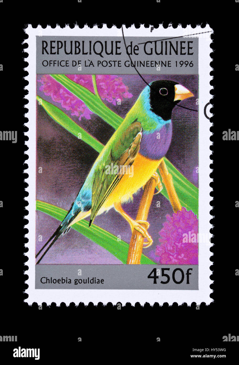 Timbre-poste à partir de la Guinée représentant un Gouldian finch (Erythrura gouldiae), Banque D'Images