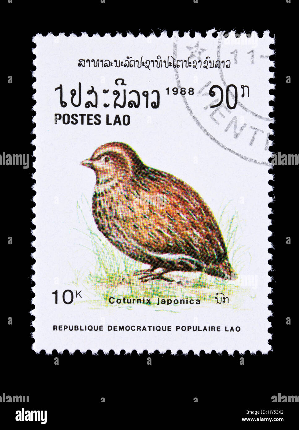 Timbre-poste du Laos représentant un la caille japonaise (Coturnix japonica) Banque D'Images