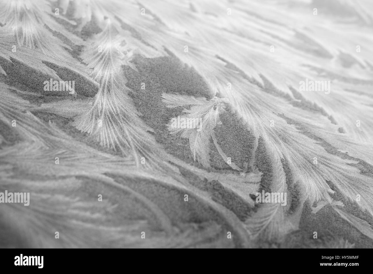 Frost patterns remplages sur vitre, Allemagne Banque D'Images