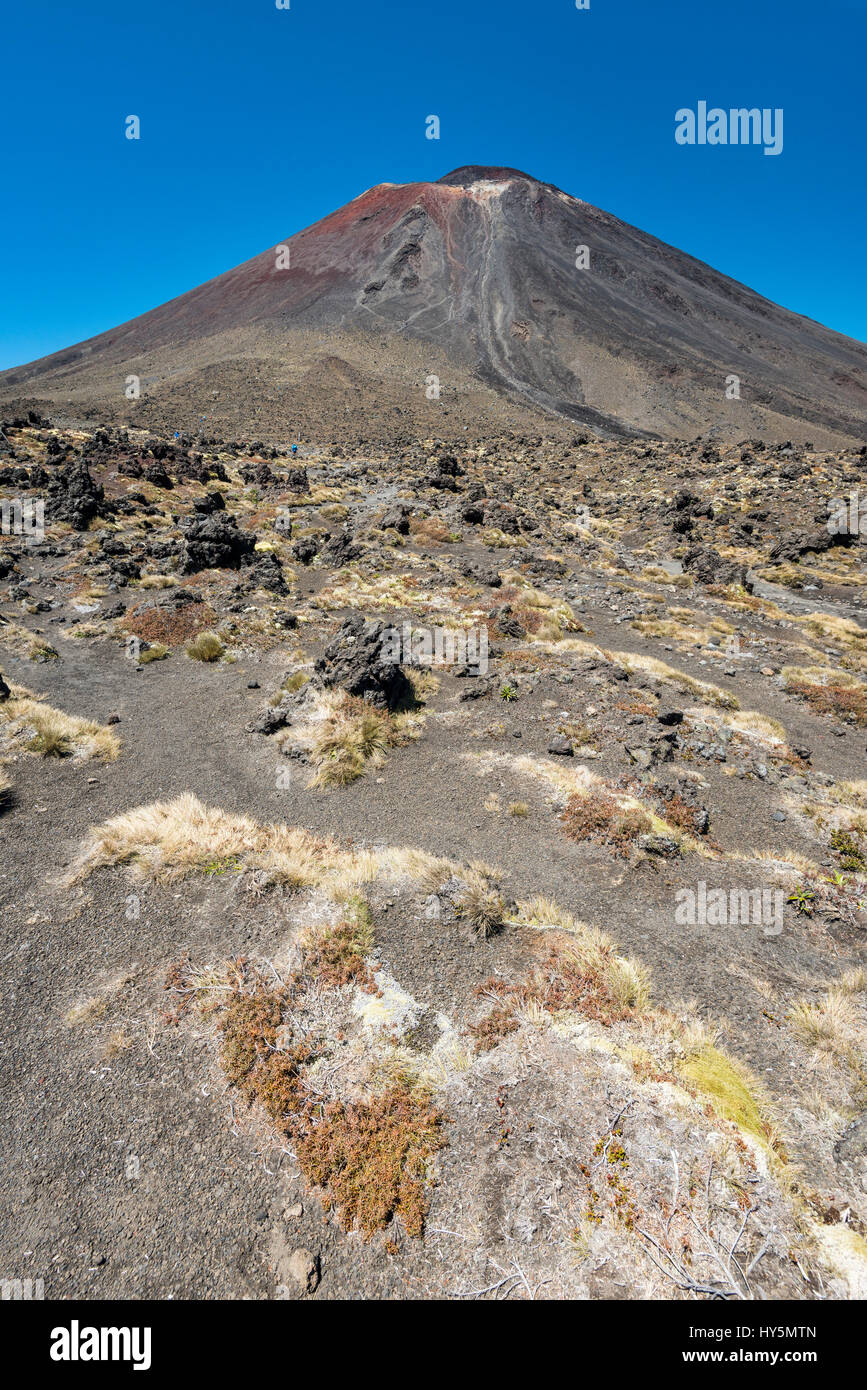 Le mont Ngauruhoe, volcan actif, paysage volcanique, traversée Alpine Tongariro, Parc National de Tongariro, île du Nord Banque D'Images