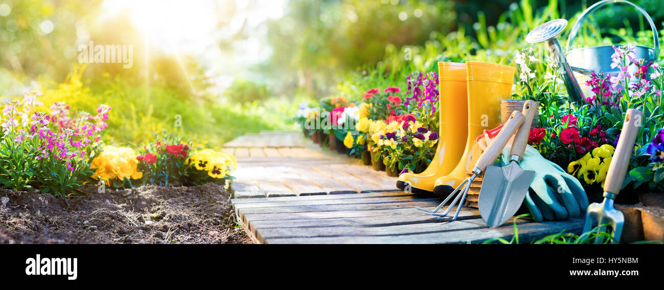 Jardinage - Ensemble d'outils de jardinier et de pots de jardin ensoleillé Banque D'Images