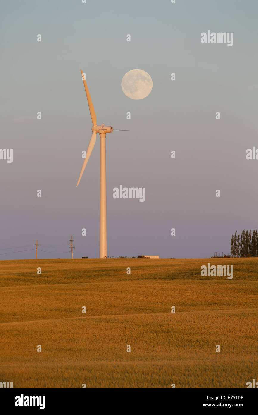 Pleine lune sur Fuhrlander éolienne près de Drumheller, Alberta Banque D'Images