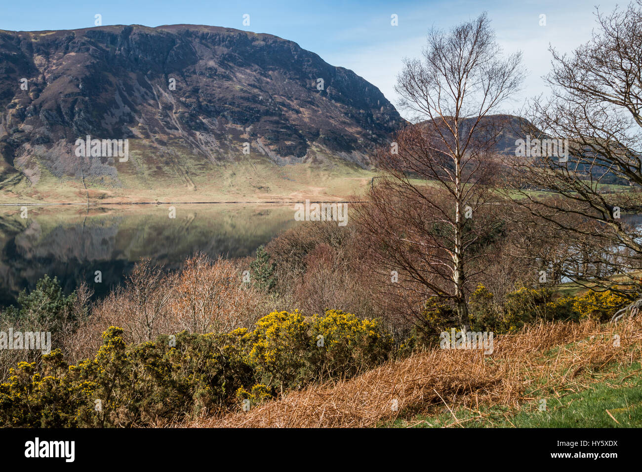Crummock water, Lake District, Cumbria, avec reflets dans le lac Banque D'Images