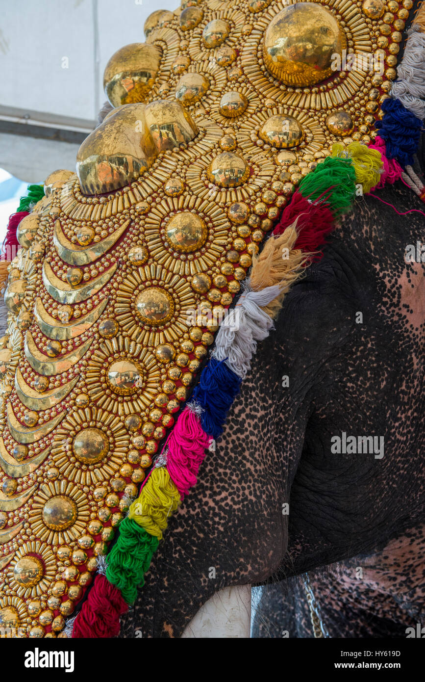 L'Inde, Cochin. Dans l'éléphant d'Asie l'or de cérémonie costume et cravate. Banque D'Images