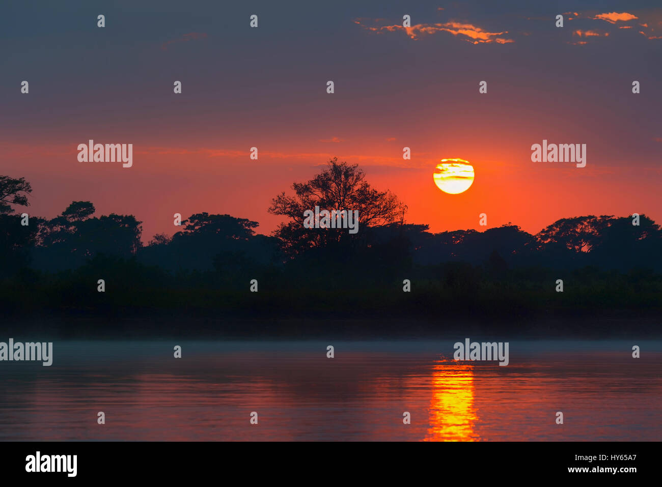 Lever de soleil sur l'Onca, Pantanal, Mato Grosso, Brésil Banque D'Images