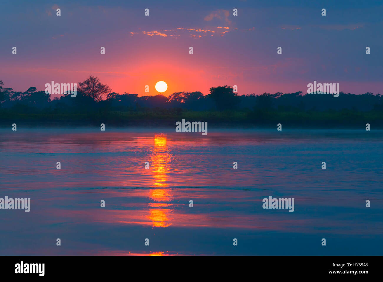 Lever de soleil sur l'Onca, Pantanal, Mato Grosso, Brésil Banque D'Images