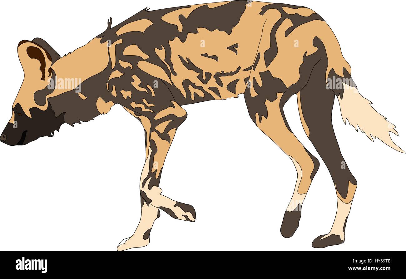Portrait d'un chien sauvage affamé et firerce Illustration de Vecteur