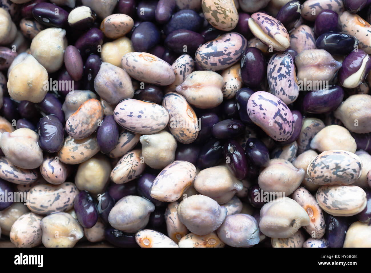 Plusieurs types de haricots dans l'eau de trempage avant la cuisson Banque D'Images