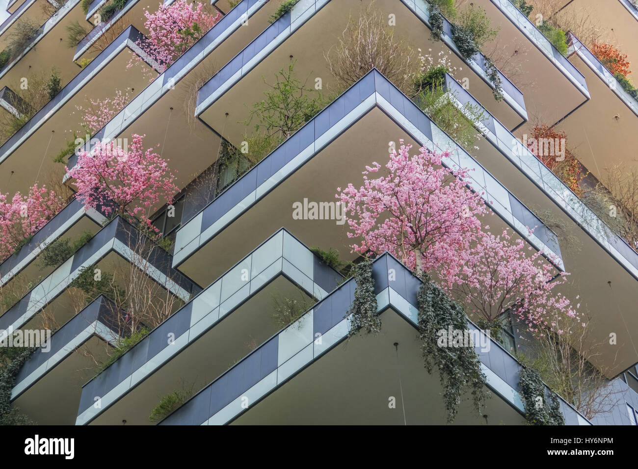 Eco Construction moderne au printemps avec les cerisiers Rose Banque D'Images