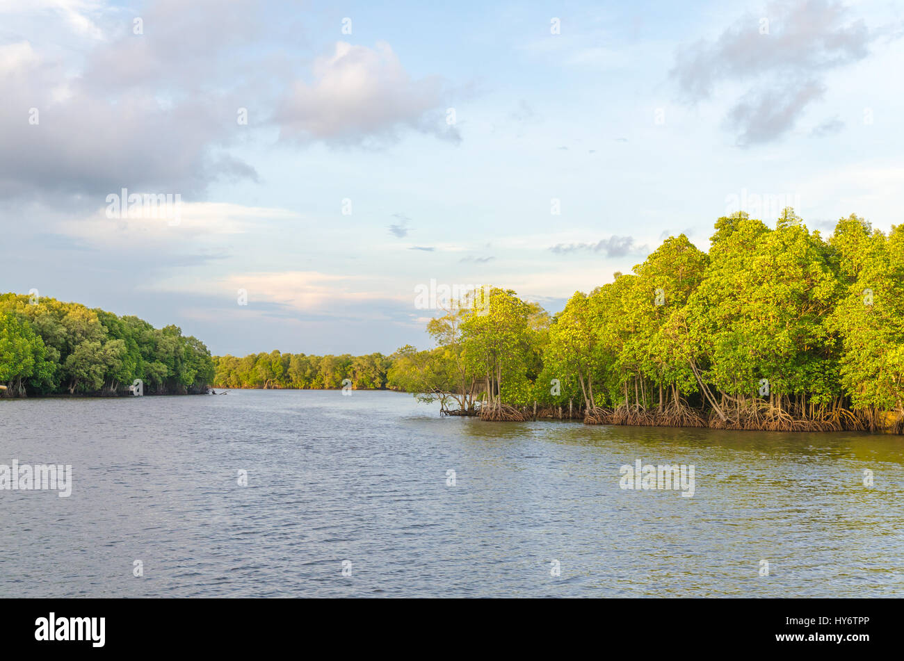 Forêt de mangrove et rivière à chanthaburi Thaïlande Banque D'Images