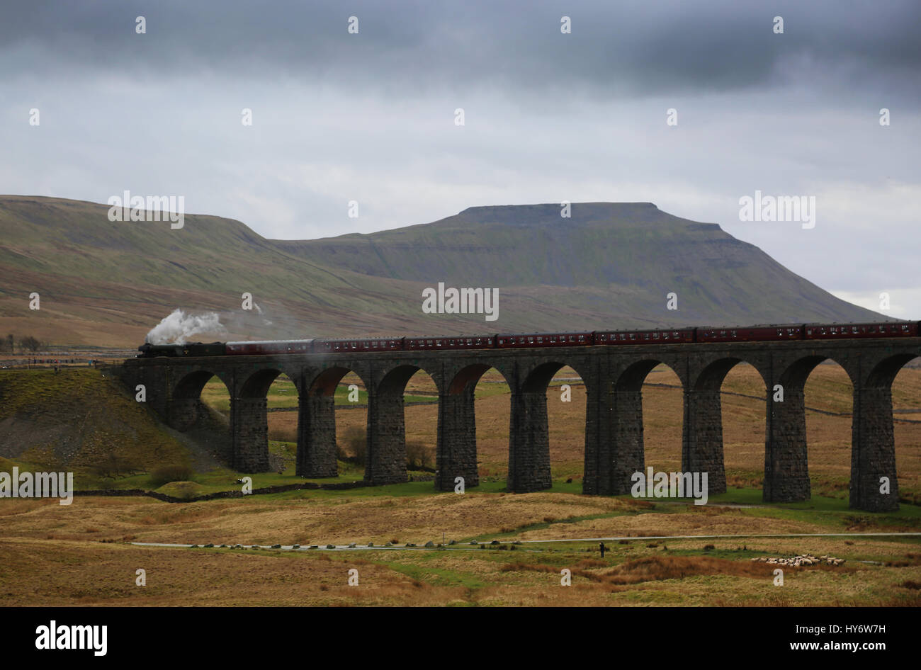 Viaduc Ribblehead Flying scotsman Banque D'Images