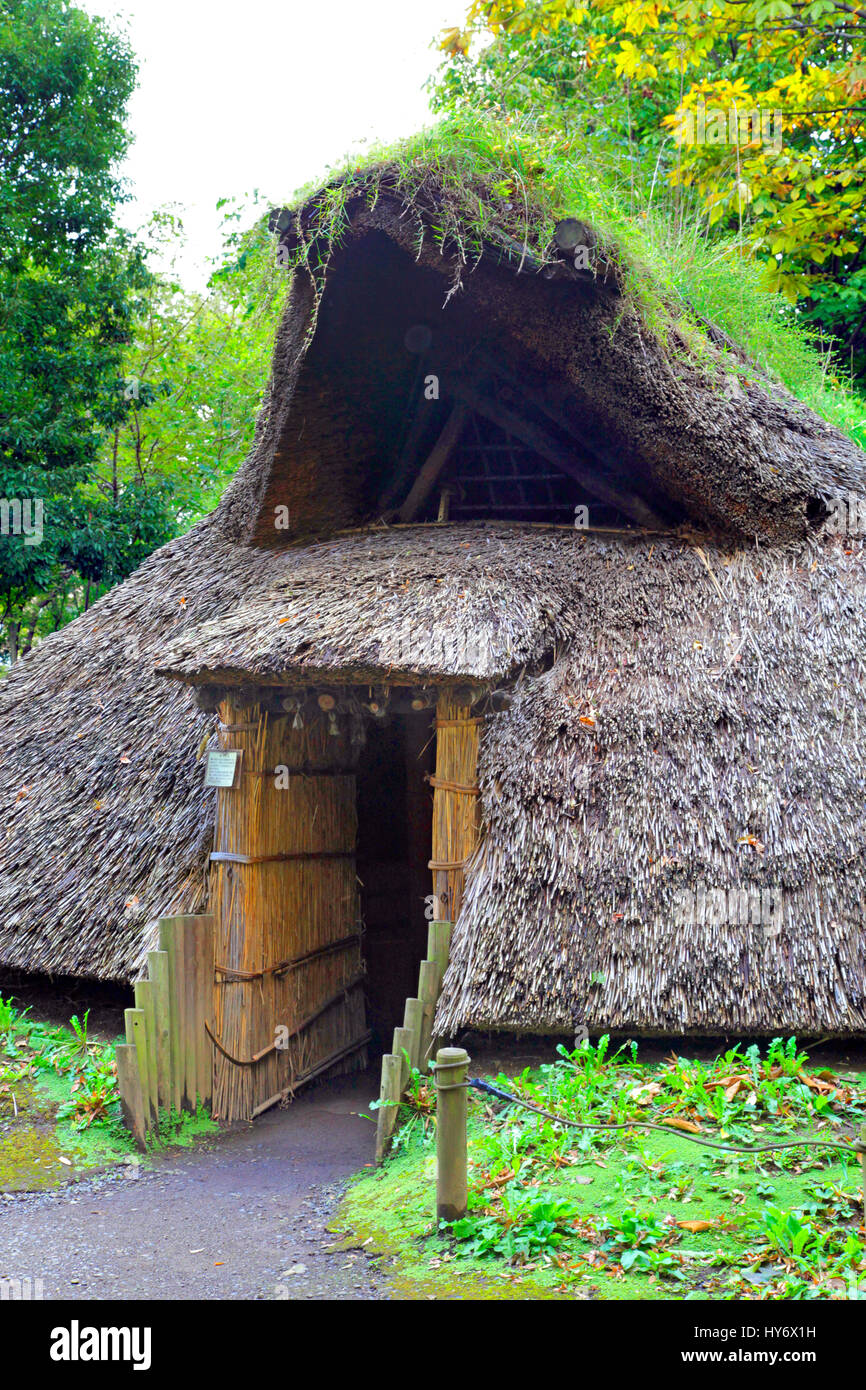 Pit-House jomon au Village Tama city Tokyo Japon Banque D'Images