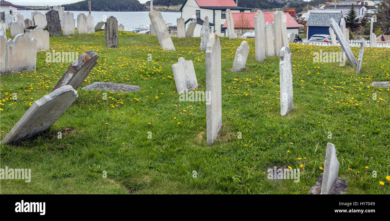Pierres tombales anciennes de pissenlits, l'église anglicane Saint Paul's, Trinité, Terre-Neuve Banque D'Images