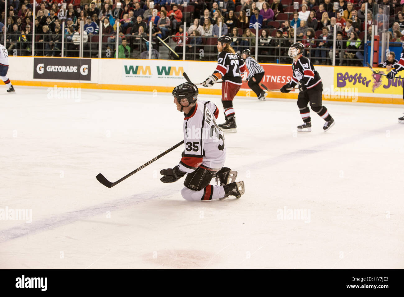 Ottawa, Canada. Mar 31, 2017. Bull2kill records prendre sur anciens de la LNH dans la 14e édition annuelle de la Coupe Juno, au profit de Musicompte. Credit : Bobby Singh/Alamy Live News Banque D'Images