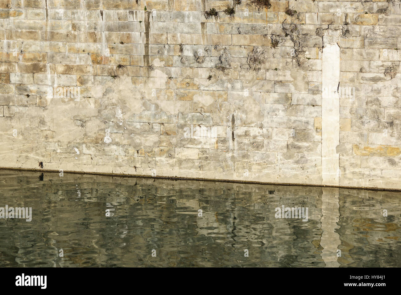 Les couleurs et les textures des algues sur les murs de la rivière sur la Tamise, mis en lumière par le soleil de fin d'après-midi et se reflètent dans les eaux calmes Banque D'Images