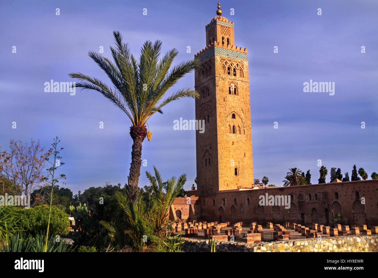 Koutoubia ou Kutubiyya Mosquée Minaret Tour à Marrakech Maroc Vieille ville avec l'ancien mur et le palmier dans le Foreground Banque D'Images