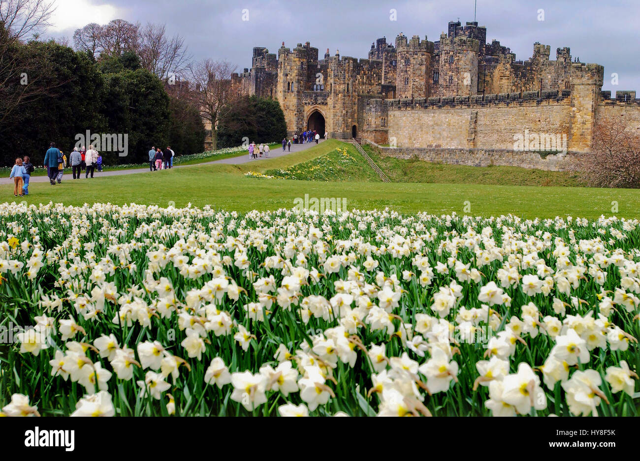 Château d'Alnwick accueil du duc de Northumberland. La famille de Percy. Scène de certaines des scènes de film de Harry Potter. Banque D'Images