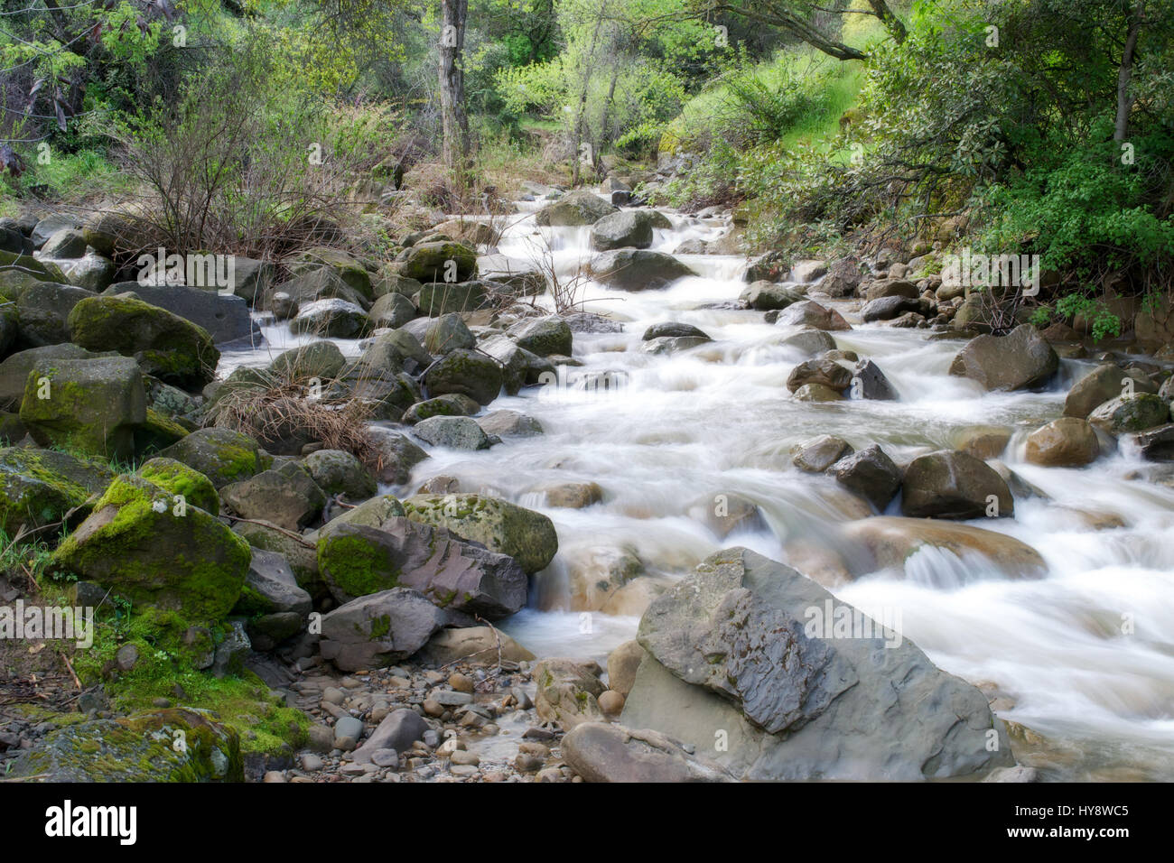 Une longue exposition de l'eau courant le long d'un affluent du ruisseau Putah de Winters, en Californie, USA, après la tempête de 2017 en particulier l'hiver, montrant une gr Banque D'Images