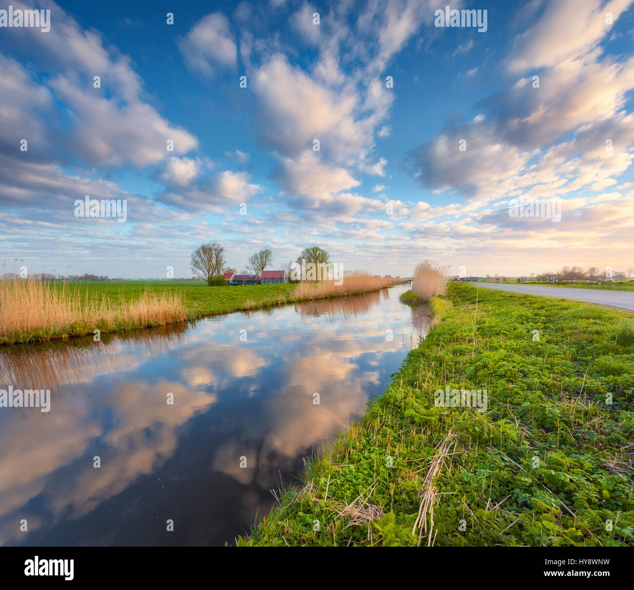 Ciel bleu avec des nuages colorés reflètent dans l'eau, maisons près du canal, arbres, herbe verte et jaune roseaux au lever du soleil en Pays-Bas Banque D'Images