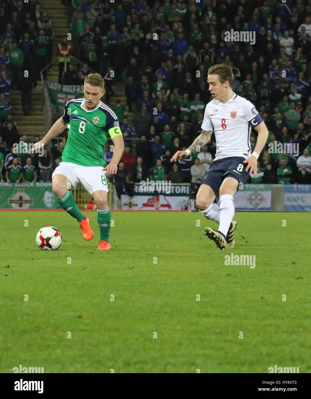 Stade national de football à Windsor Park, Belfast. 26 mars 2017. Qualification de la Coupe du Monde 2018 - Irlande du Nord 2 Norvège 0. Steven Davis de l'Irlande du Nord (8 - verte) en action. Banque D'Images