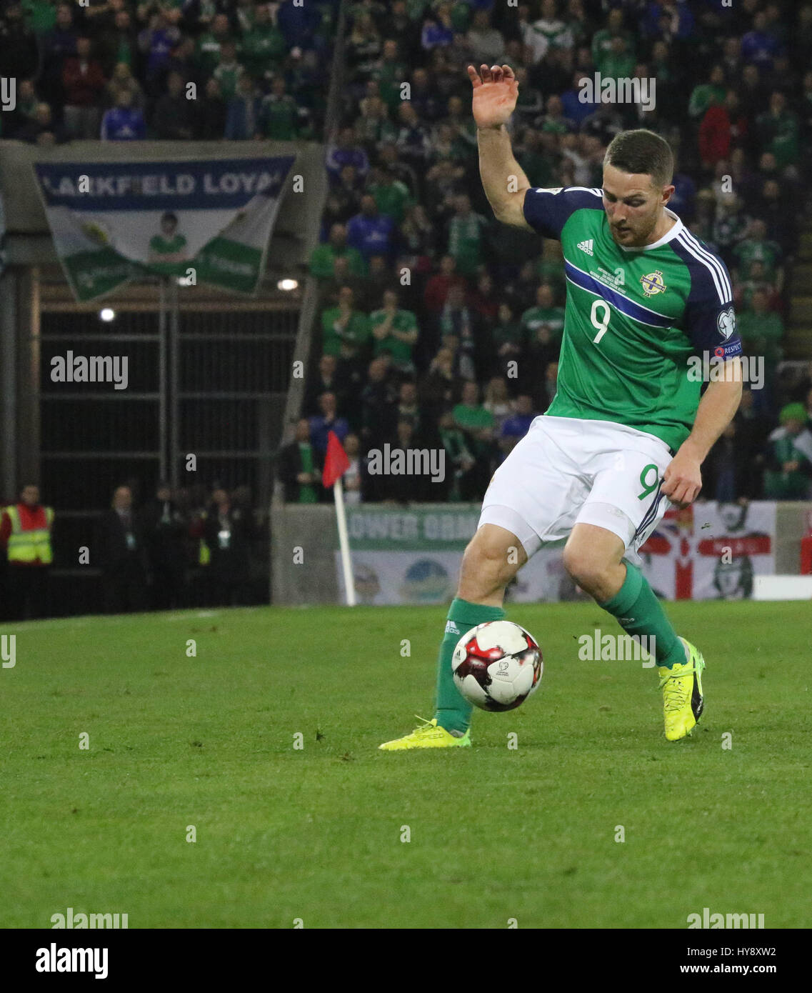 Stade national de football à Windsor Park, Belfast. 26 mars 2017. Qualification de la Coupe du Monde 2018 - Irlande du Nord 2 Norvège 0. L'Irlande du Nord Conor Washington (9) en action. Banque D'Images