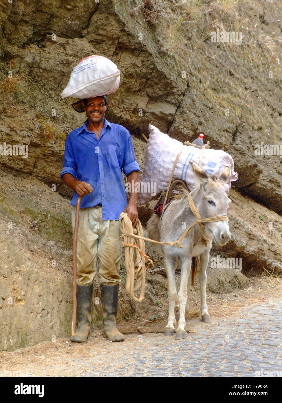 Un Cabo Verdienne agriculteur et son âne, diviser la charge. Santo Antao, République de Cabo Verde, l'Afrique. Banque D'Images