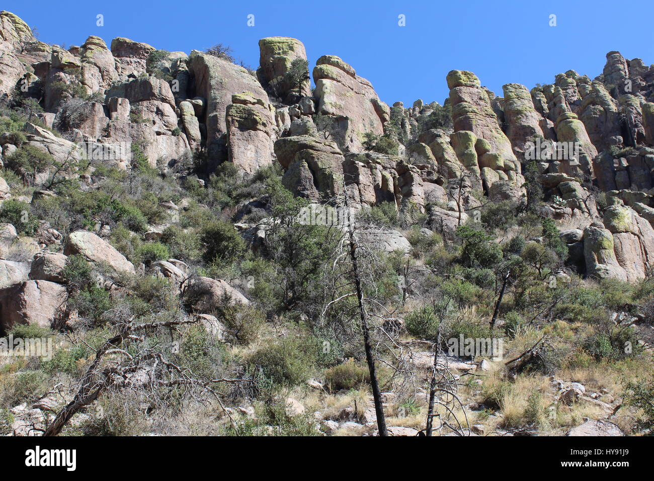 Des formations rocheuses, Monument National Chiricahua, Wilcox, Arizona, États-Unis Banque D'Images