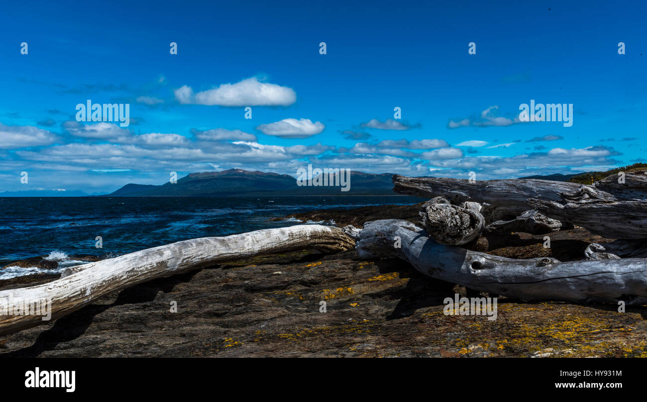 Une vue sur le détroit de Magellan avec le tronc des arbres en premier plan Banque D'Images