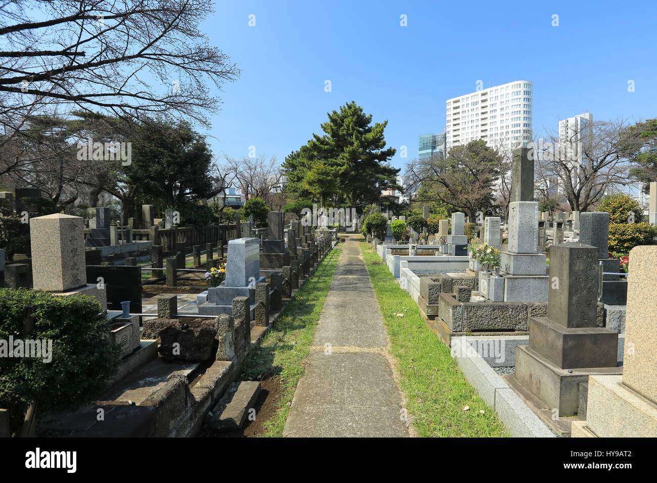 Cimetière d'Aoyama, Tokyo, Japon contient de nombreuses tombes et historique est également un endroit populaire pendant la saison des cerisiers en fleur Banque D'Images