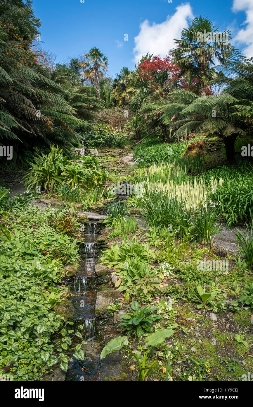 Jardin d'eau Trebah Gardens Sub-Tropical Attraction Touristique Cascade Ruisseau Joli plantes pittoresque coloré Cornwall Cornish Banque D'Images