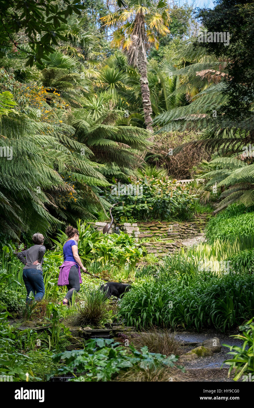 Jardin d'eau Trebah Gardens Sub-Tropical Attraction Touristique Flux Visiteurs Personnes plantes pittoresque coloré Cornwall Cornish Banque D'Images