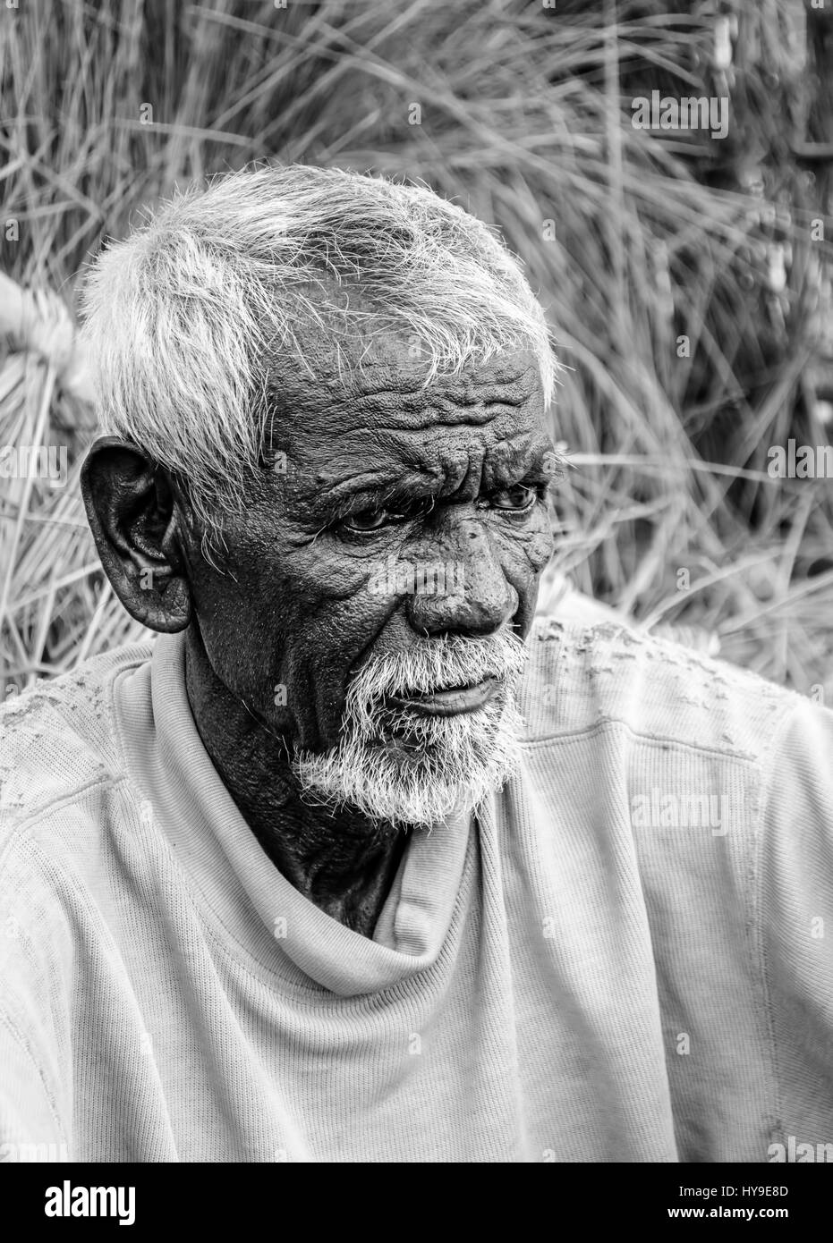 Close up of tribal vieil homme aux cheveux blancs et sa barbe with copy space Banque D'Images